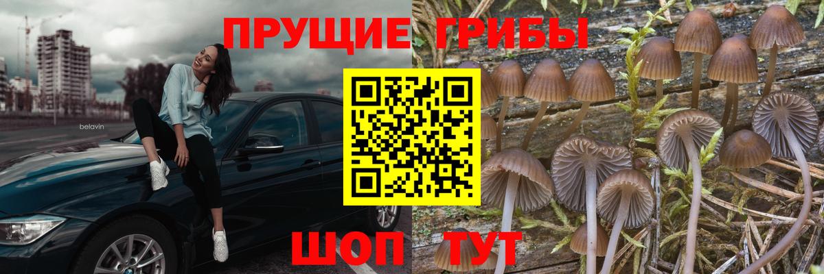 Галлюциногенные грибы Psilocybine cubensis  купить наркоту  Рославль  Вход с VPN 