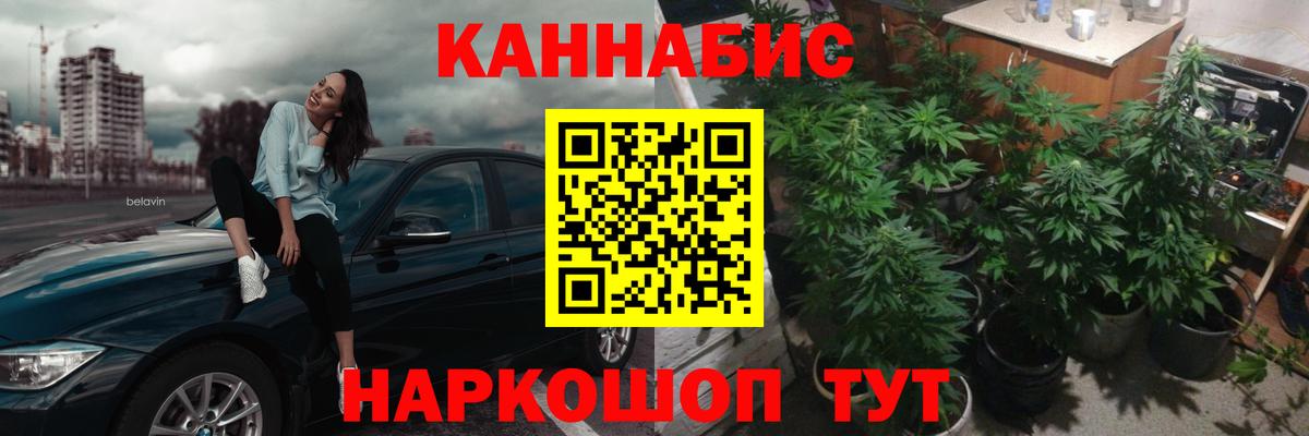 МАРИХУАНА OG Kush Рославль